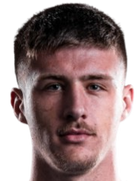 Haris Berbic