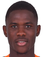 Wilfried Ndollo
