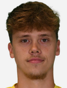 Niklas Geisler