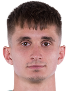Dominik Plestil