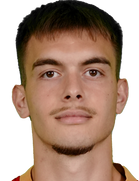 Mihajlo Petkovic