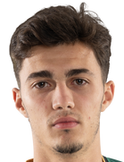 Jovan Mituljikic