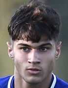 Gabriele Guarino