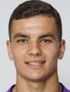 Nermin Bajraktarevic