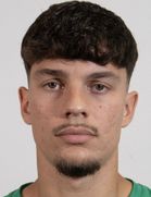 Hamza Samardzic