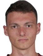 Marin Dulic