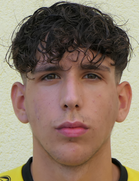 Luka Frano Beric