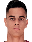 Raul Haiduc