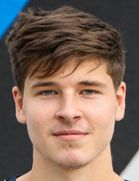 Leo Wemhoener