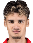 Kerim Alajbegovic