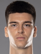 Amar Ibrisimovic