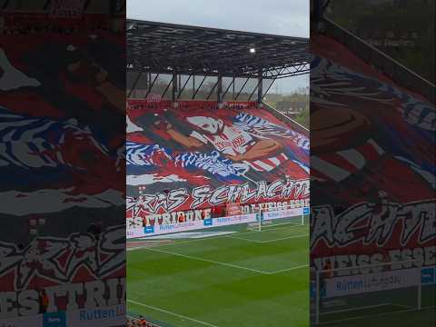 Choreo "SCHLACHTHOF HAFENSTRASSE" 😍😍😍 RWE vs MSV 1:0
