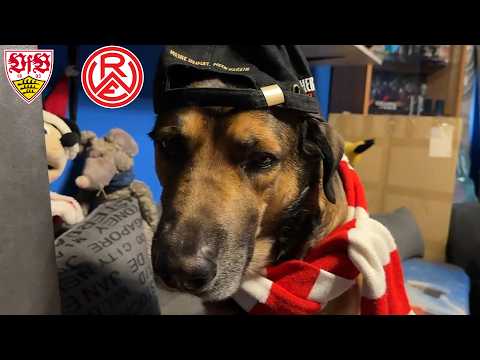 Selbst Porzellan bricht nicht so schnell wie wir heute... VFB Stuttgart 2 VS Rot-Weiss Essen