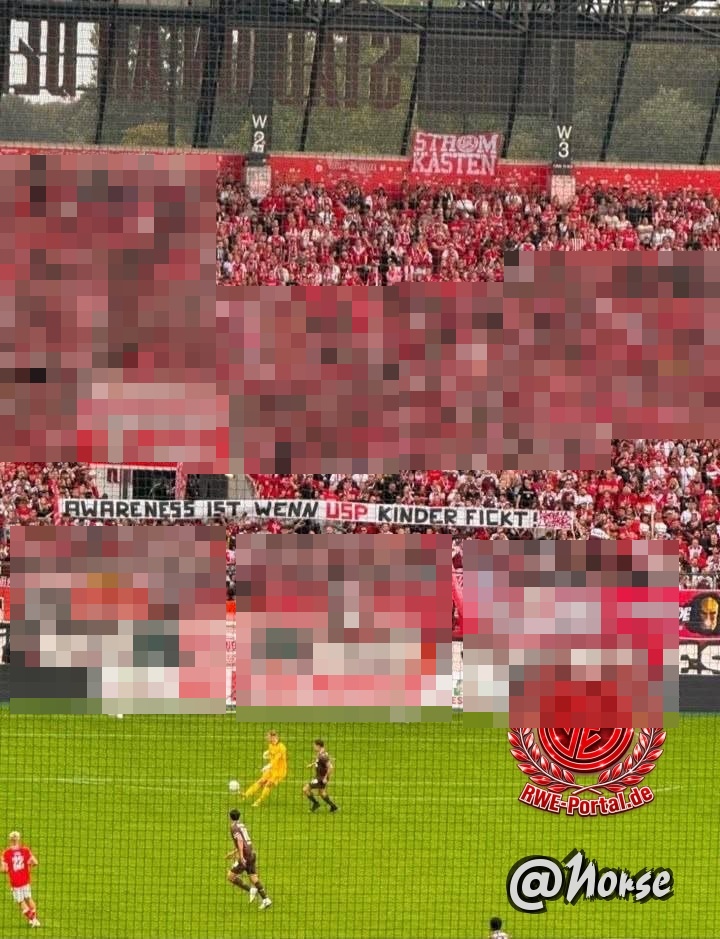 Bild von Norse im Thema Rot-Weiss Essen - FC St. Pauli (DFB-Pokal/1. Hauptrunde)