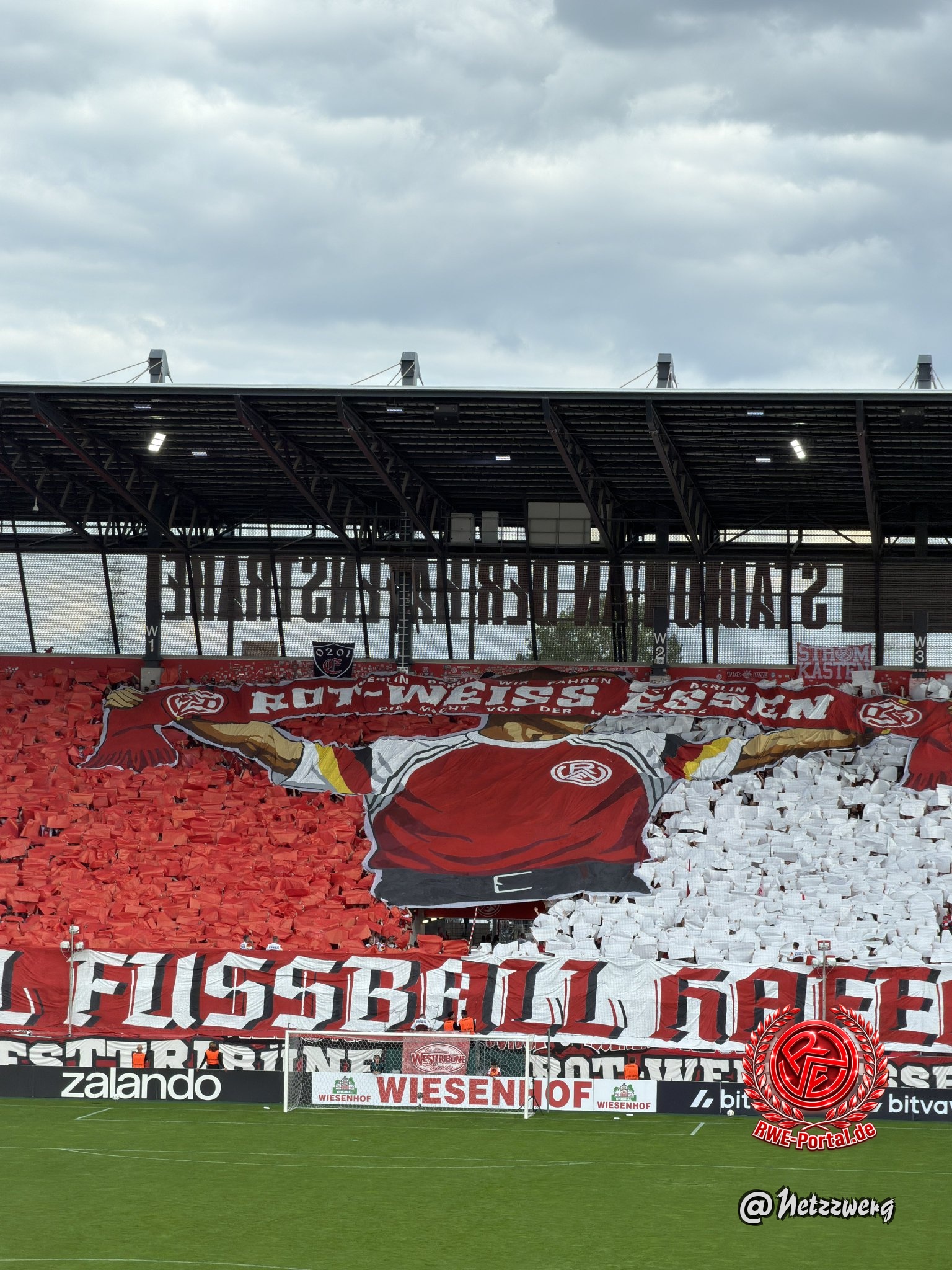 X (Twitter)-Bild.jpg