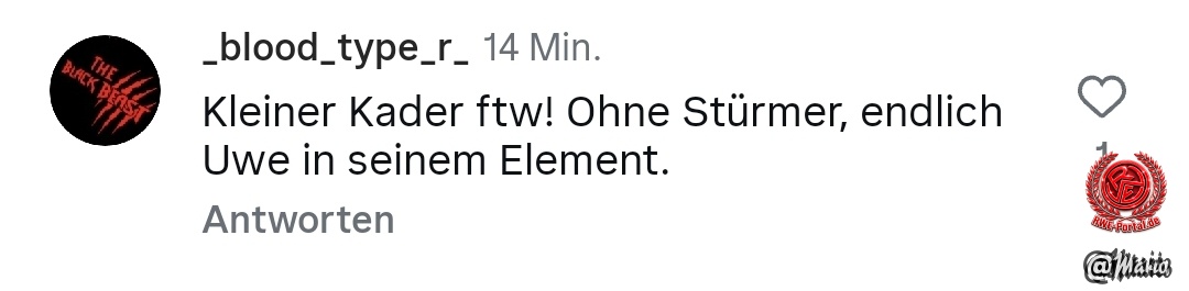 Bild im Beitrag